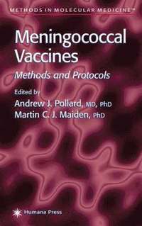 bokomslag Meningococcal Vaccines