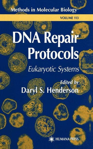 bokomslag DNA Repair Protocols