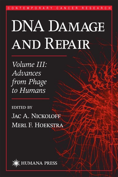 Jac A. Nickoloff, Merl F. Hoekstra - DNA Damage and Repair, Inbunden