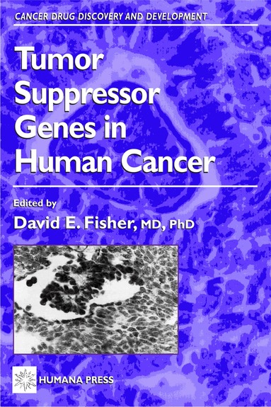 David E. Fisher - Tumor Suppressor Genes in Human Cancer, Inbunden