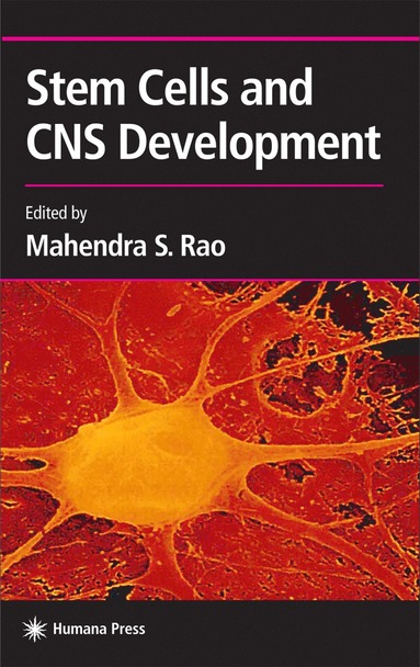 bokomslag Stem Cells and CNS Development