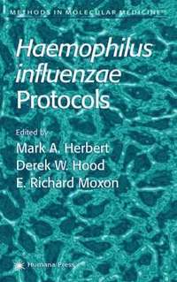 bokomslag Haemophilus influenzae Protocols