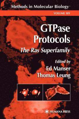 Ed Manser, Thomas Leung - GTPase Protocols, Inbunden
