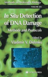 bokomslag In Situ Detection of DNA Damage