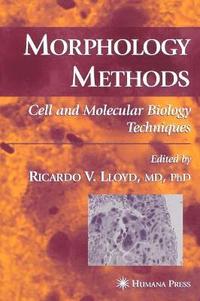 bokomslag Morphology Methods
