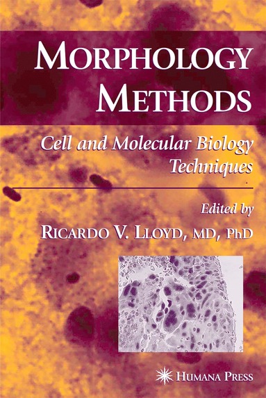 bokomslag Morphology Methods