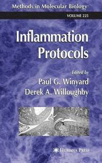 bokomslag Inflammation Protocols