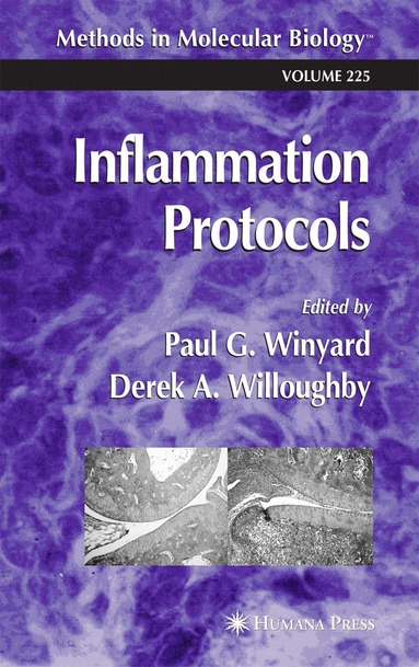 bokomslag Inflammation Protocols