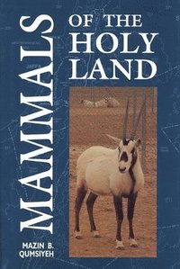 bokomslag Mammals of the Holy Land