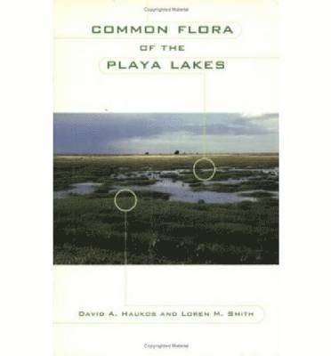 Common Flora of the Playa Lakes 1