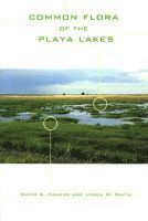 Common Flora of the Playa Lakes 1