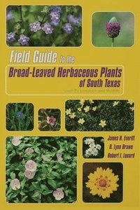 bokomslag Field Guide to the Broad-leaved Herbaceous Plants of South Texas