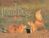 bokomslag Prairie Dog