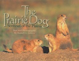Prairie Dog 1