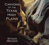 bokomslag Canyons of the Texas High Plains