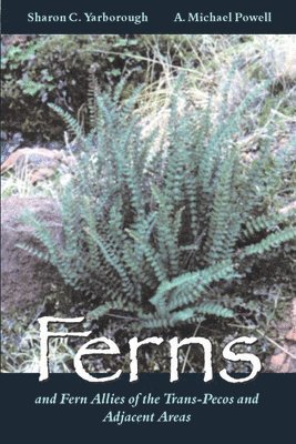 Ferns and Fern Allies of the Trans-Pecos and Adjacent Areas 1