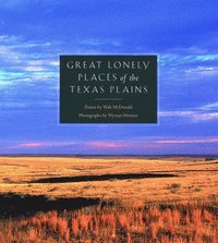 bokomslag Great Lonely Places of the Texas Plains