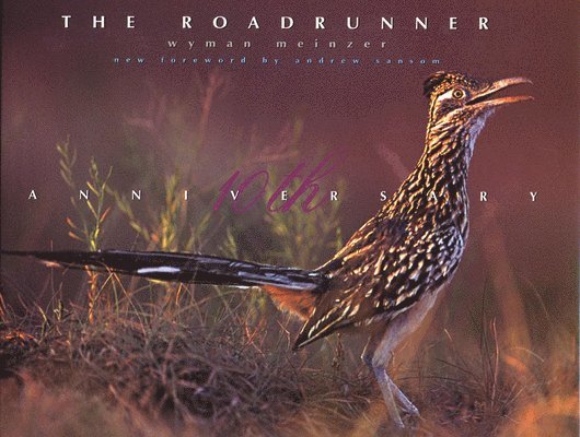 Wyman Meinzer - Roadrunner, Inbunden