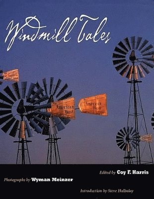 bokomslag Windmill Tales