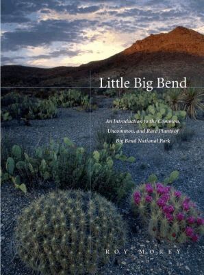 Roy Morey - Little Big Bend, Häftad