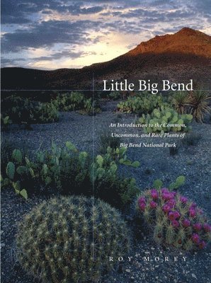 Little Big Bend