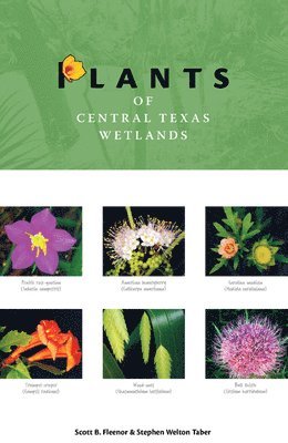 Plants of Central Texas Wetlands 1