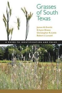 bokomslag Grasses of South Texas
