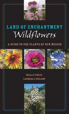 Land of Enchantment Wildflowers 1