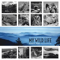 bokomslag My Wild Life