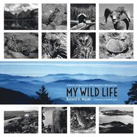 bokomslag My Wild Life