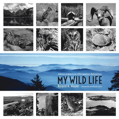 My Wild Life 1