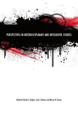 bokomslag Perspectives in Interdisciplinary and Integrative Studies