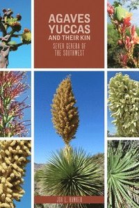 bokomslag Agaves, Yucca, and Their Kin