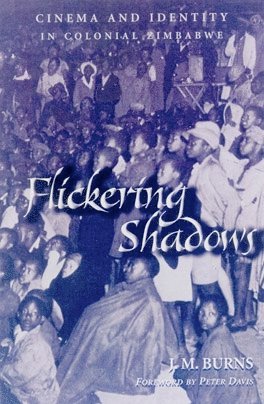 bokomslag Flickering Shadows