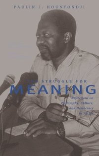 bokomslag Struggle for Meaning