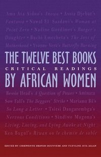 bokomslag Twelve Best Books by African Women