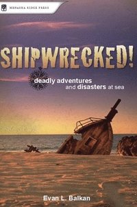 bokomslag Shipwrecked!