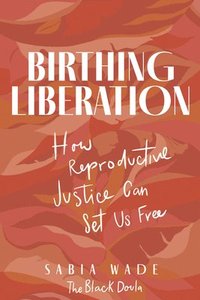 bokomslag Birthing Liberation: How Reproductive Justice Can Set Us Free