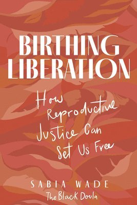 bokomslag Birthing Liberation: How Reproductive Justice Can Set Us Free