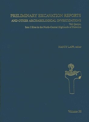 bokomslag Preliminary Excavation Reports and Other Archaeological Investigations