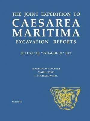 bokomslag Joint Expedition to Caesarea Maritima Excavation Reports