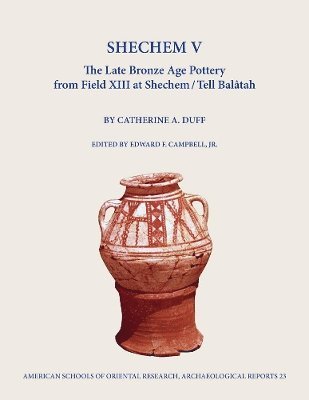 Shechem V 1