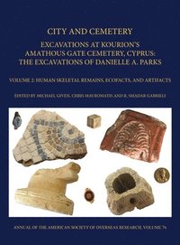 bokomslag City and Cemetery: Excavations at Kourions Amathous Gate Cemetery, Cyprus. the Excavations of Danielle A. Parks Volume 2: Human Bone, Eco