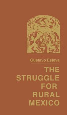 bokomslag Struggle for Rural Mexico