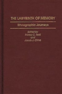 bokomslag The Labyrinth of Memory