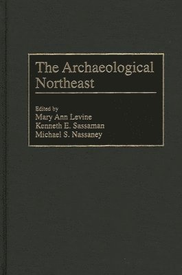 bokomslag Archaeological Northeast
