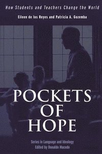 bokomslag Pockets of Hope