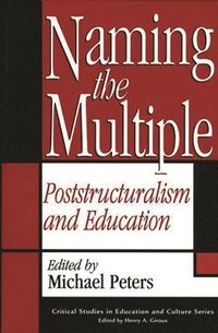 bokomslag Naming the Multiple