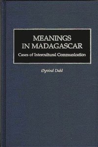 bokomslag Meanings in Madagascar