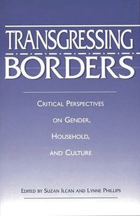bokomslag Transgressing Borders